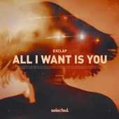 All I Want Is You (Extended) artwork