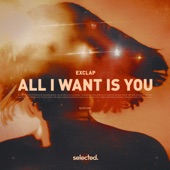 All I Want Is You artwork