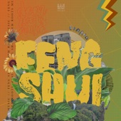 Dem Roots Music - feng shui