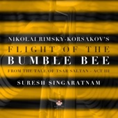 The Flight of Bumble Bee - from the Tale of Tsar Saltan - Act III artwork