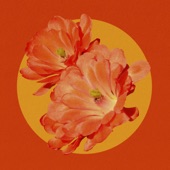 Desert Flower (feat. Mereba) [Remix] artwork