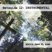 Betsaida 12: Instrumental (Música para el Alma) artwork