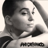 Ani DiFranco - The Story