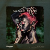 Bongo Sense artwork