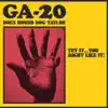 Try It...You Might Like It: GA-20 Does Hound Dog Taylor album lyrics, reviews, download