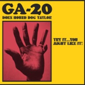 GA-20 - Give Me Back My Wig