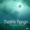 Cumbia Agogo - Single