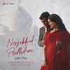 Nenjukkul Peidhidum (Lofi Flip) - Single