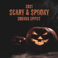 2021 Scary & Spooky Sounds Effect: Halloween Music, Best Creepy Background for Party, Videos & Games