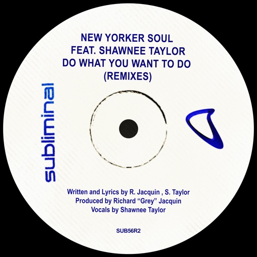 Do What You Want to Do (feat. Shawnee Taylor) [Remixes] by New Yorker Soul