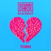 Torn (feat. Ryan Riback & Ed Colman) - Single