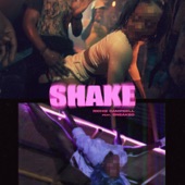 Shake artwork