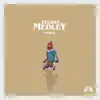 Zelda's Medley - Single album lyrics, reviews, download