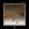 Fragments - Single