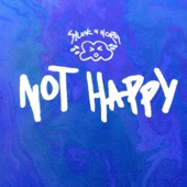 Not Happy artwork