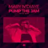 Pump Up the Jam (with MOTi) song lyrics