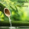 Early Birds - Miss Harmony lyrics