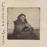 Cerberus Shoal - Rain (Reprise)