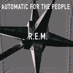 R.E.M. - Nightswimming