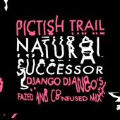 Pictish Trail - Natural Successor (feat. Django Django) [Django Django's 'fazed and Confused Remix']