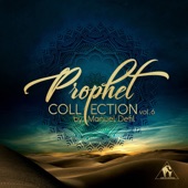 Prophet Collection, Vol. 6 by Manuel Delfi artwork
