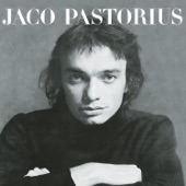 Jaco Pastorius - Portrait Of Tracy (Album Version)