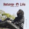 Rockstar の Life - Dikkboy lyrics