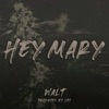 Hey Mary - Single