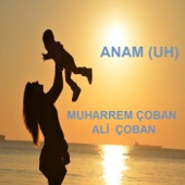 Anam (UH) artwork
