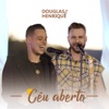 Carinhosamente by Douglas e Henrique iTunes Track 1
