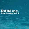 Rain Sounds Vol. 2 - Single