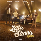Lotta & Sanna (Remix) artwork