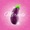 GPF - Miracle