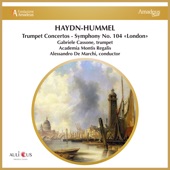 Concerto for Trumpet and Orchestra in E-Major, S. 49: II. Andante artwork