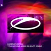 Your Loving Arms (re:boot Remix) - Single