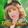 Doris Ferrer - Casualidad (En Vivo)