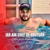 Iar am chef de bautura - Single