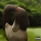 Jizzy - Tyron Mack lyrics