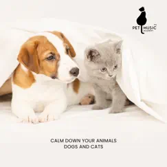 Calm Down Your Animals: Relaxing Music for Dogs and Cats, Soothing Sounds for Pets, Deep Sleep for Dog and Cat by Pet Music Academy album reviews, ratings, credits