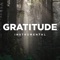 Gratitude (Instrumental) artwork