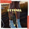 Petunia - Single