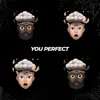 You Perfect - Single album lyrics, reviews, download