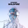 Wildfire - Single