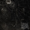 Judg Junk - Single