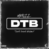 Dtb artwork