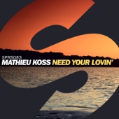 Need Your Lovin' (Extended Mix) artwork