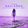 Bailando (Dan Winter & Ryan T. Remix) [Remixes] - Single album lyrics, reviews, download