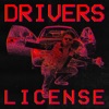 Drivers License - Single