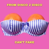 From Disco 2 Disco - Can't Fake