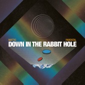Down in the Rabbit Hole (Deluxe Edition) artwork